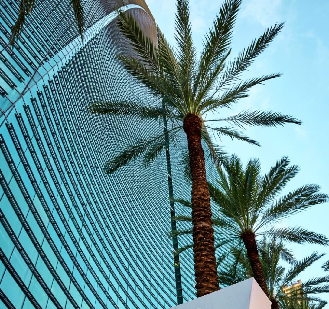 The Hotel Aka sign is shown against a backdrop of palm trees and a modern glass building.