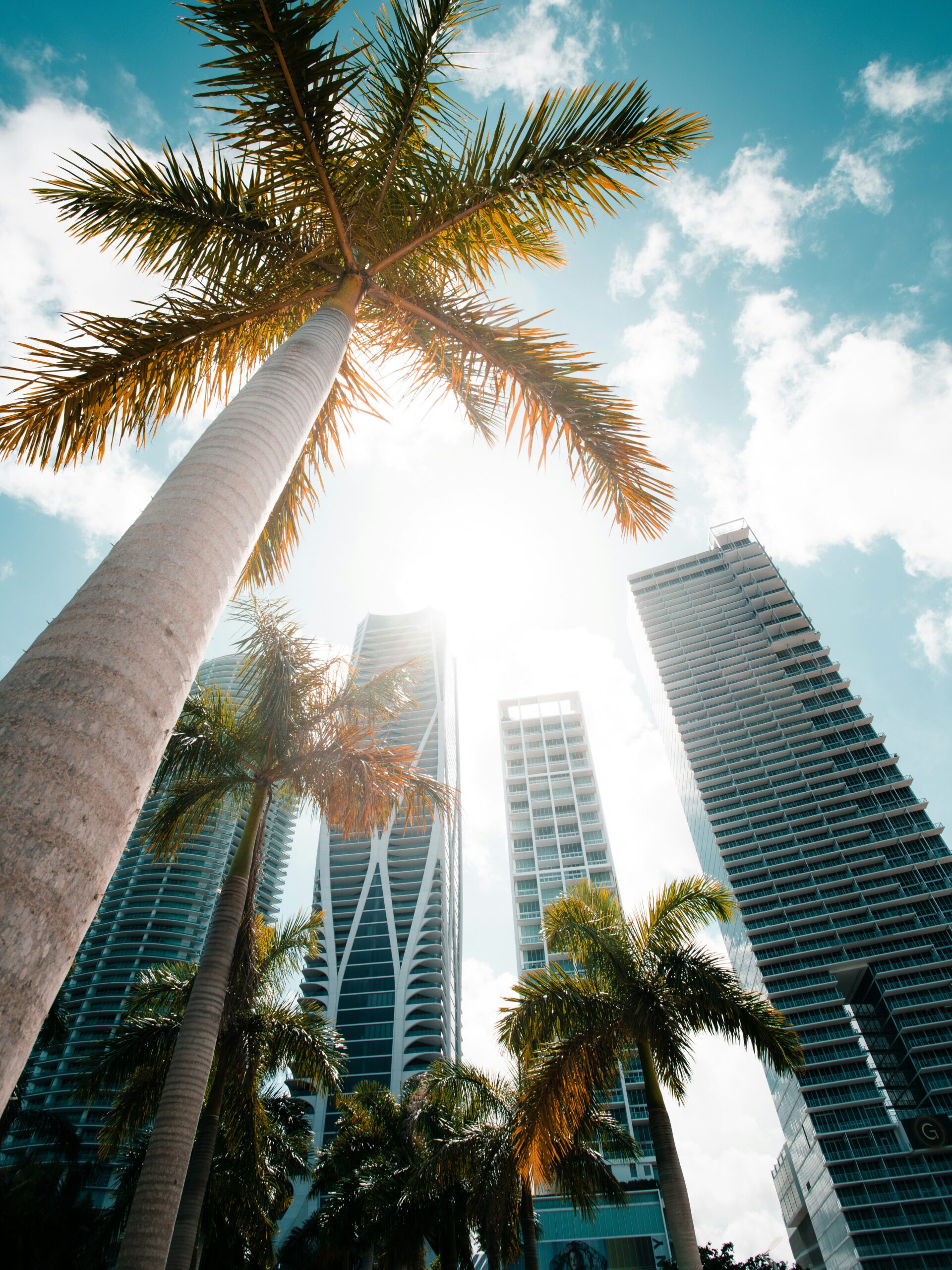 Tall palm trees and modern skyscrapers against a bright, sunny sky with scattered clouds, viewed from below.