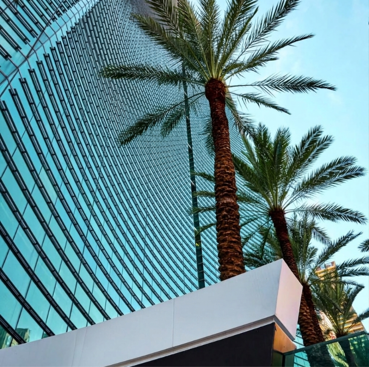 Tall palm trees stand in front of a modern glass building reflecting the sky, viewed from a low angle against a clear blue sky.